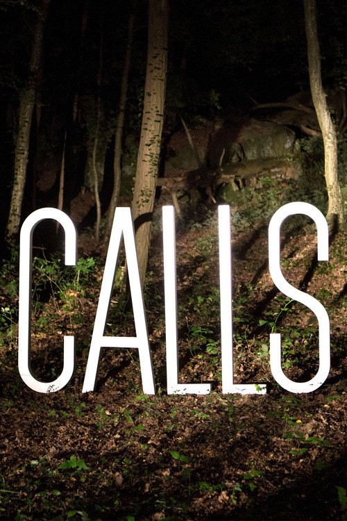 CALLS