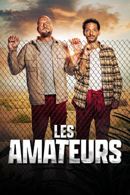 Les Amateurs (saison 2)
