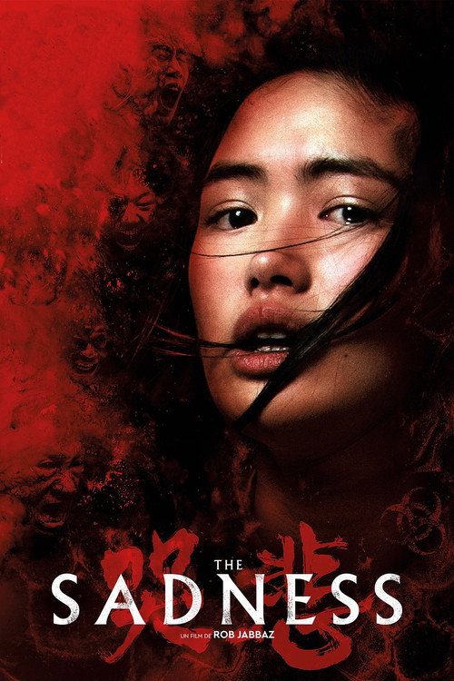 Affiche de The sadness