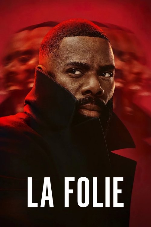 Affiche de The madness