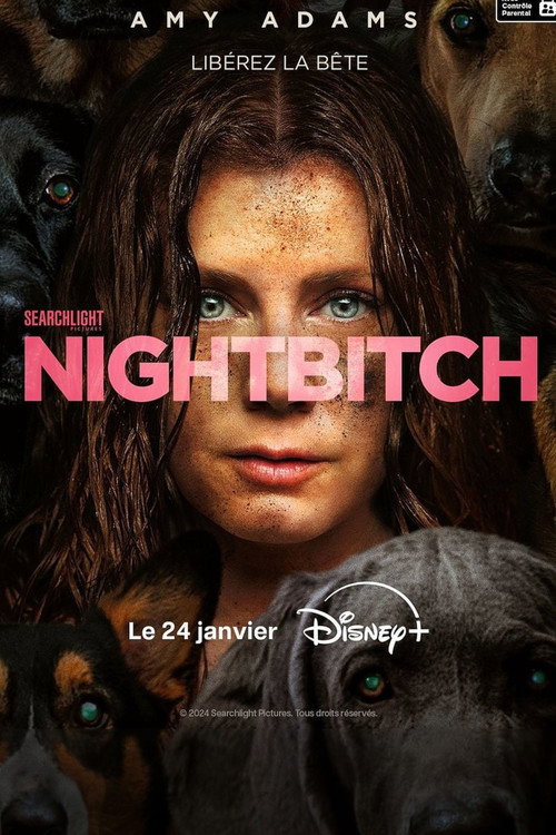 Affiche de Nightbitch