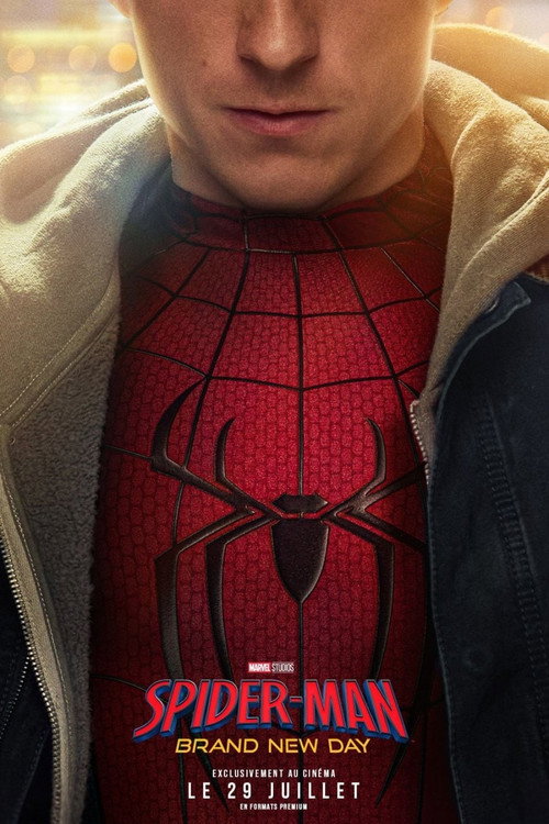 Affiche de Spiderman : Brand New Day